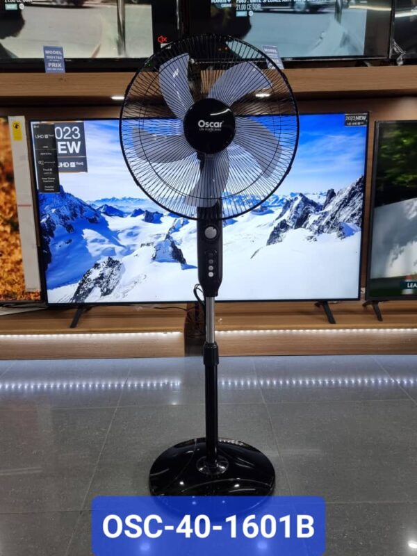 WhatsApp Image 2023-10-20 à 11.20.31_d428742c WhatsApp Image 2023-10-20 à 11.20.31_d428742c