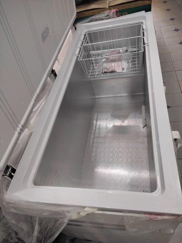 WhatsApp Image 2026-01-08 at 12.29.53